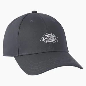 Dickies Silicone Logo Print Lo Pro Twill Hat