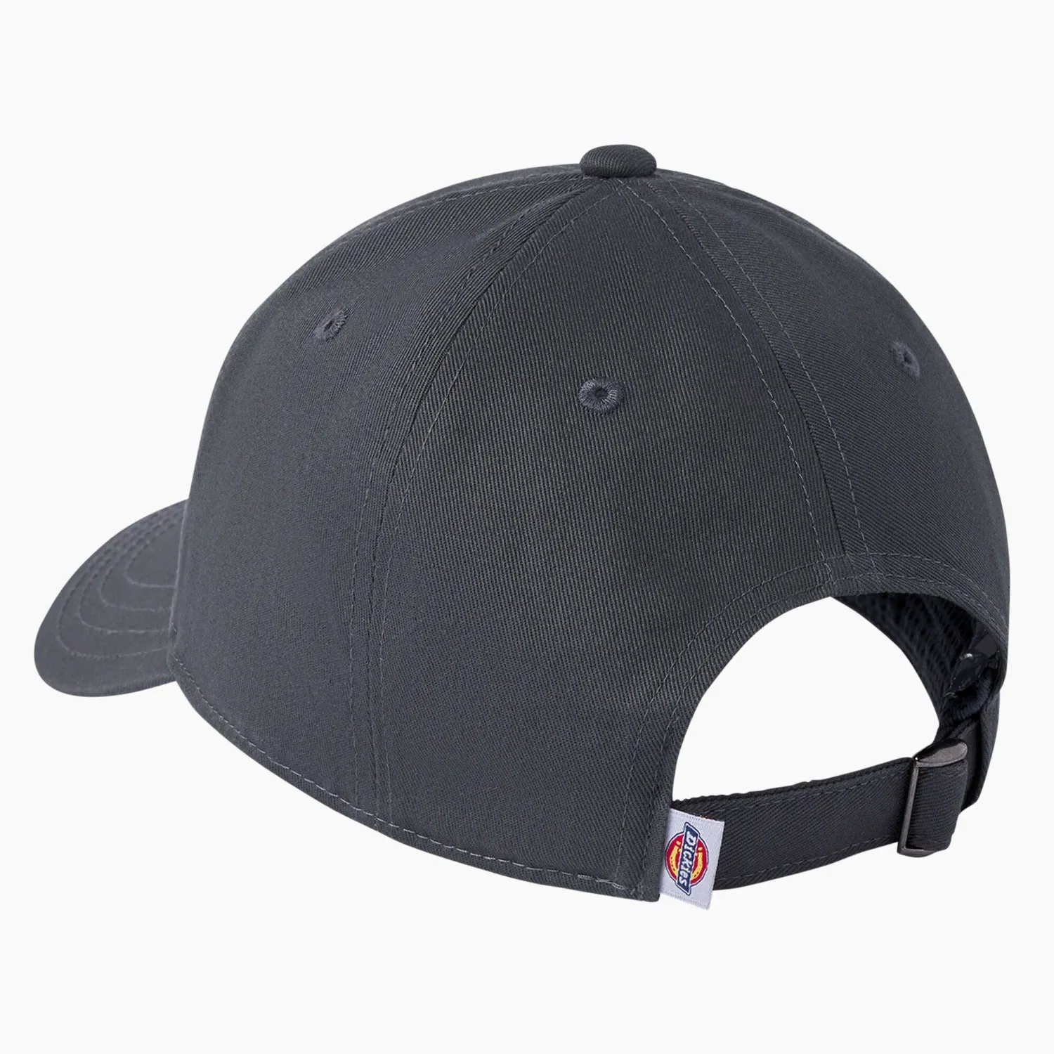 Dickies Silicone Logo Print Lo Pro Twill Hat