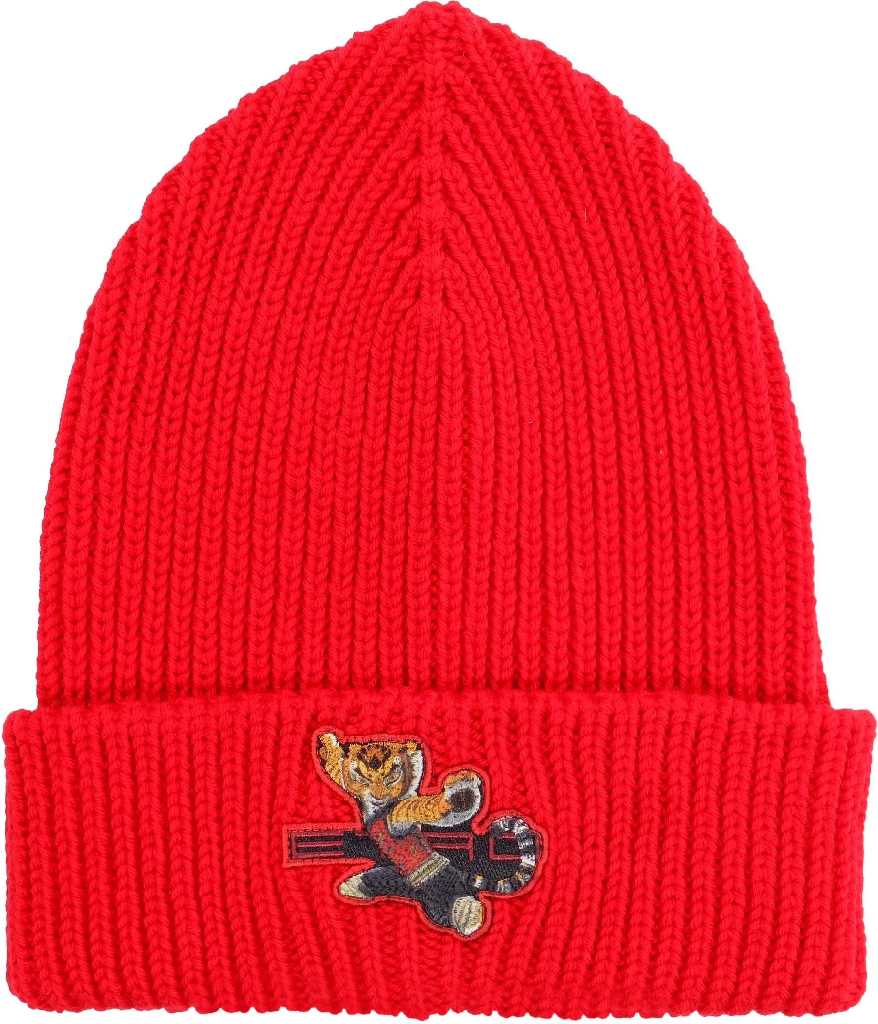Etro Kung Fu Panda Patch Ribbed Beanie