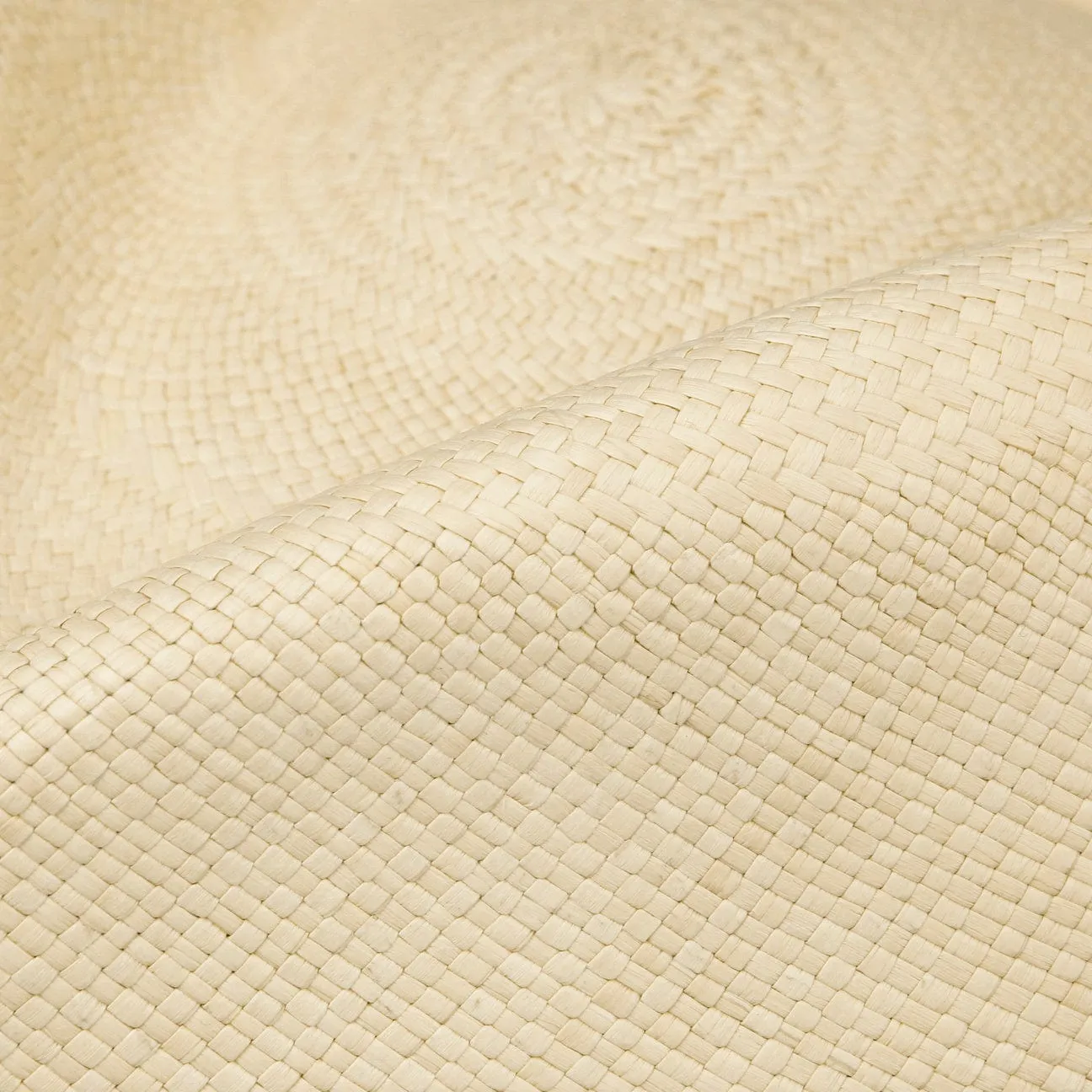The Sophisticated Panama Hat by Lierys